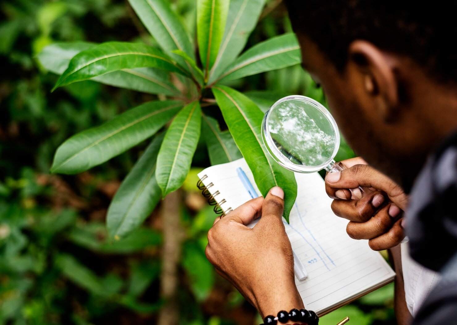 Organic Certification Guidance