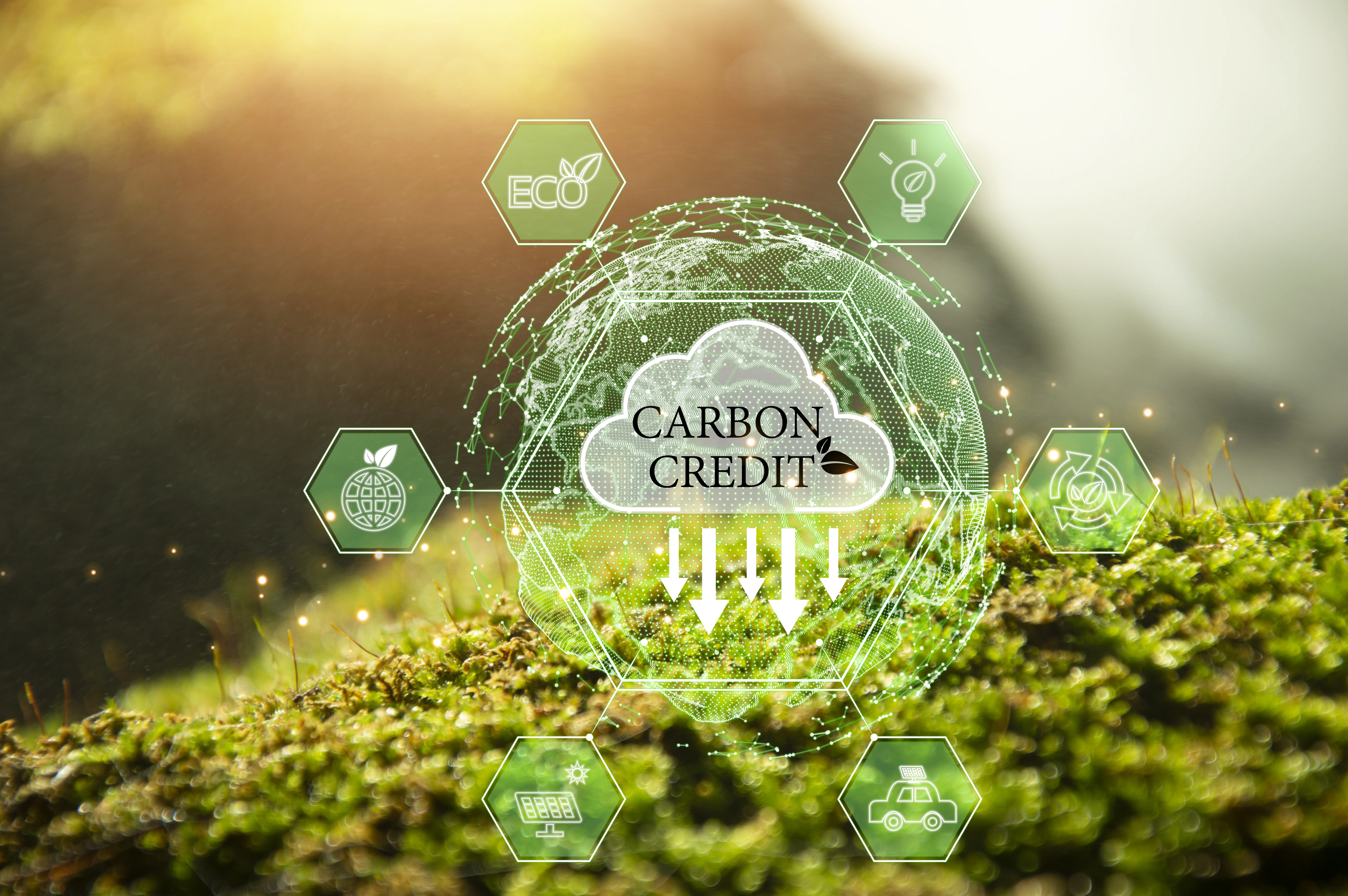 Organic Certification Guidance
