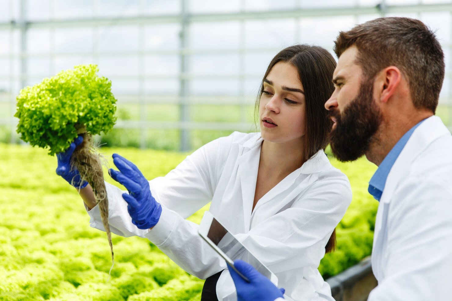 Organic Certification Guidance